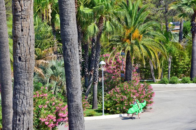 crocodile a la baume