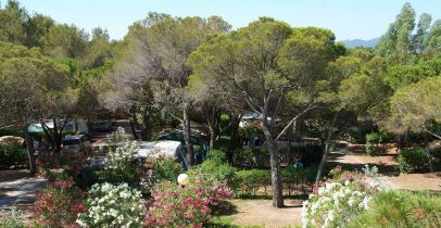 La Baume - La Palmeraie — photo 8