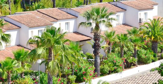 La Baume - La Palmeraie — photo 3