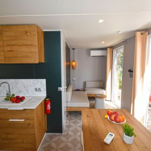 mh phoenix 3 clim salon2 web