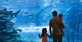 Et familiebesg p akvariet i Frjus.