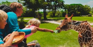 Et familiebesg i Frjus Zoo.