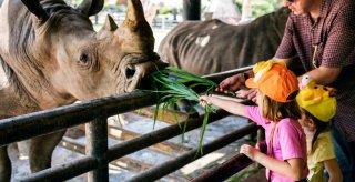 Familietur i zoologisk have nr campingpladsen i Var.